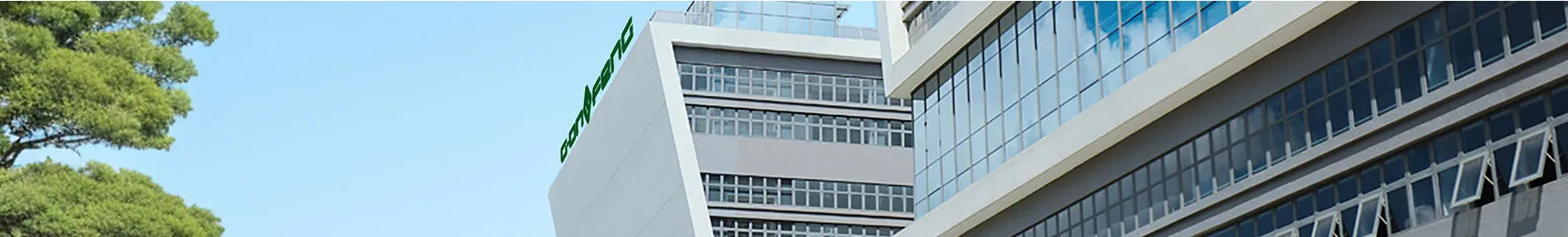 团队